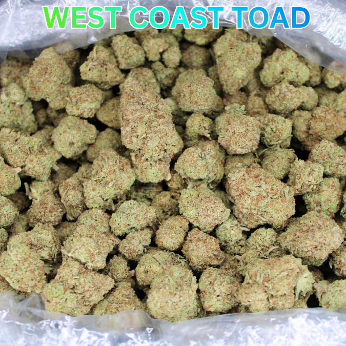 West Coast Toad THCA Flower