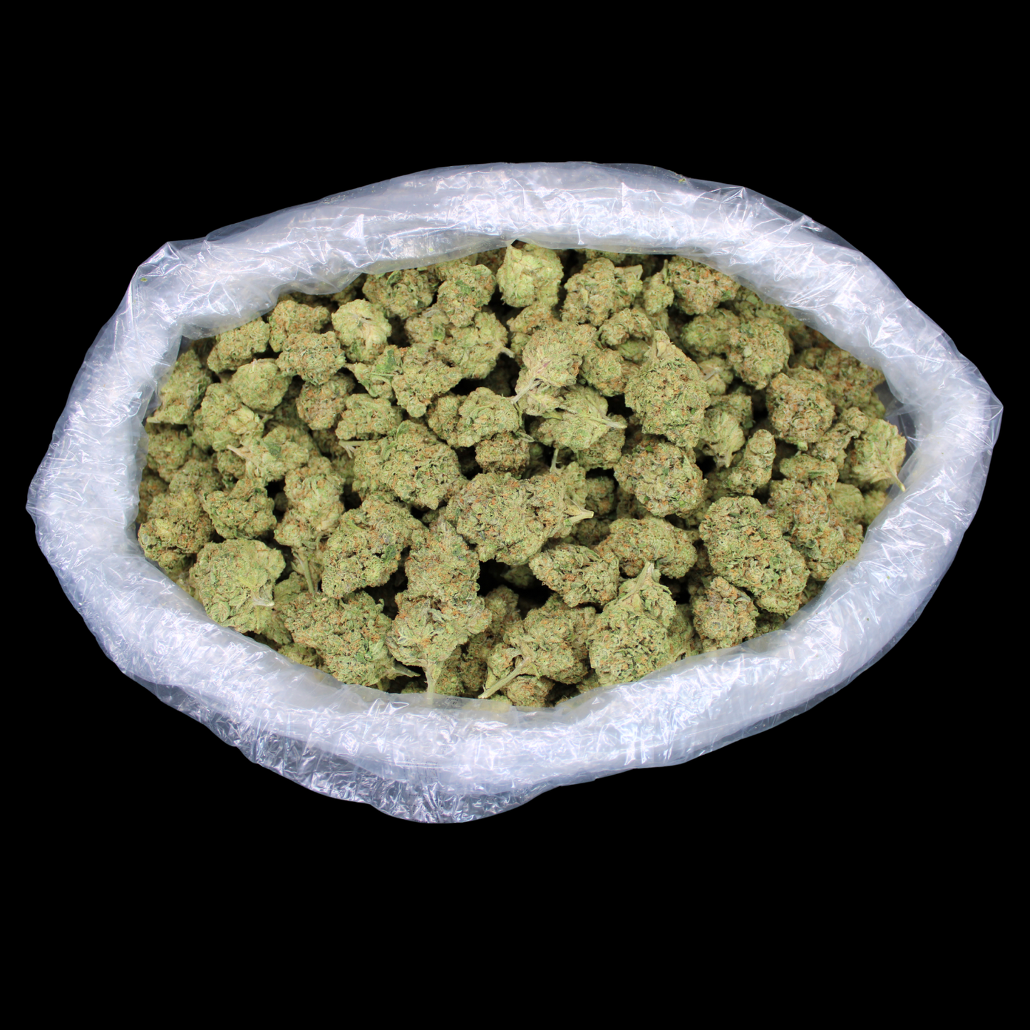 White Buffalo THCA Flower