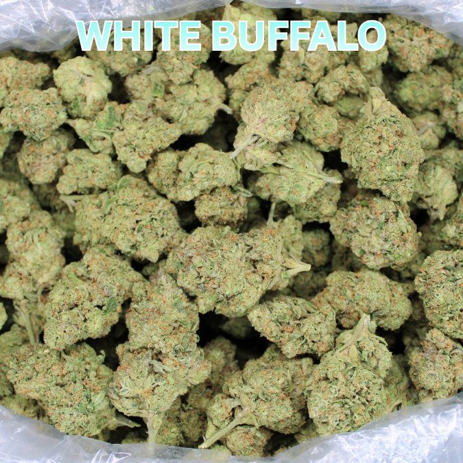 White Buffalo THCA Flower