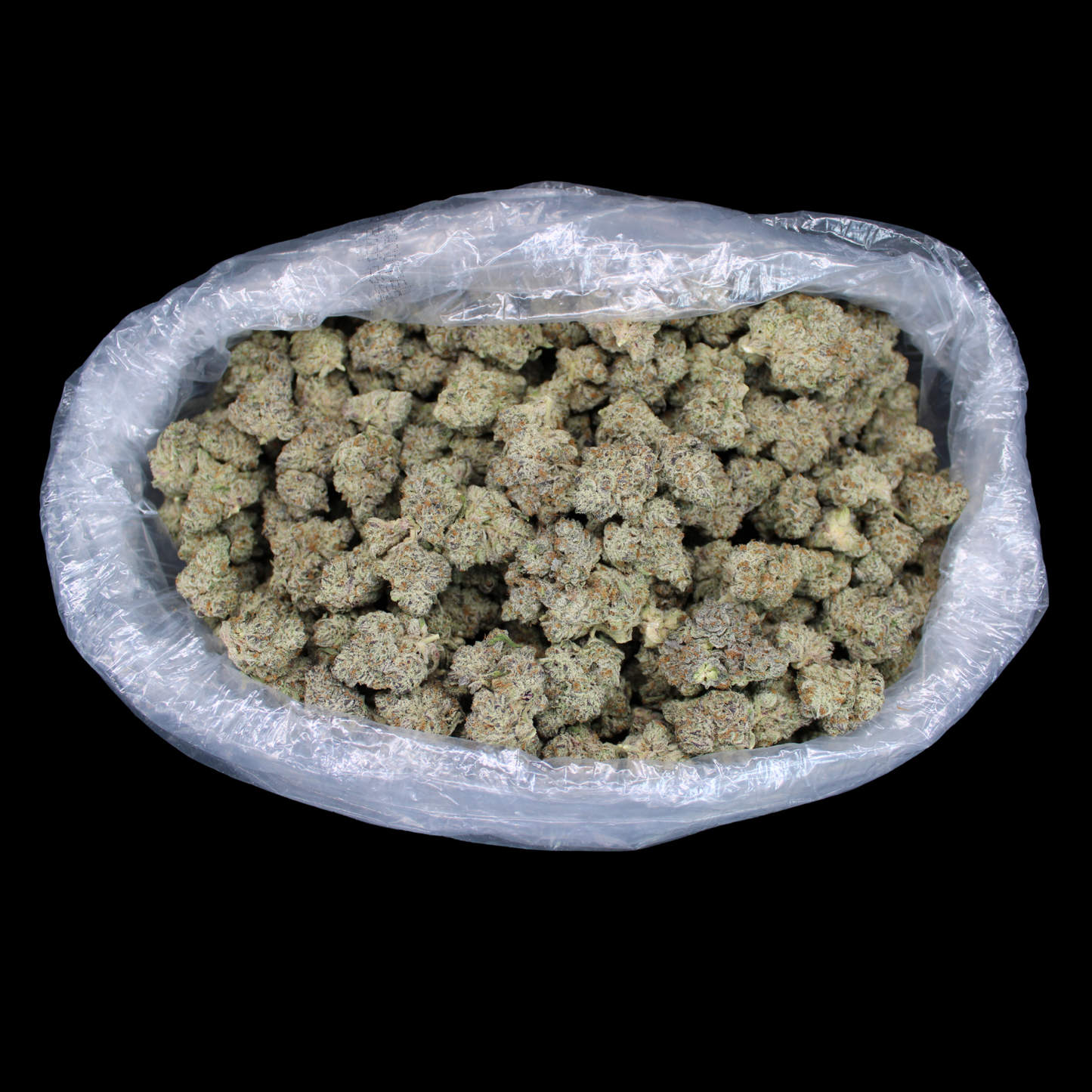 White Chocolate Chip Exotic THCA Flower