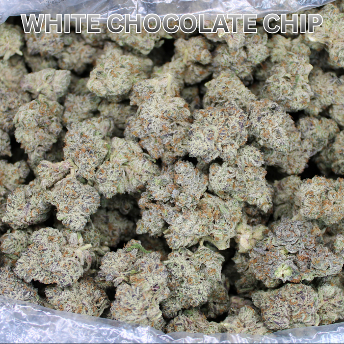 White Chocolate Chip Exotic THCA Flower