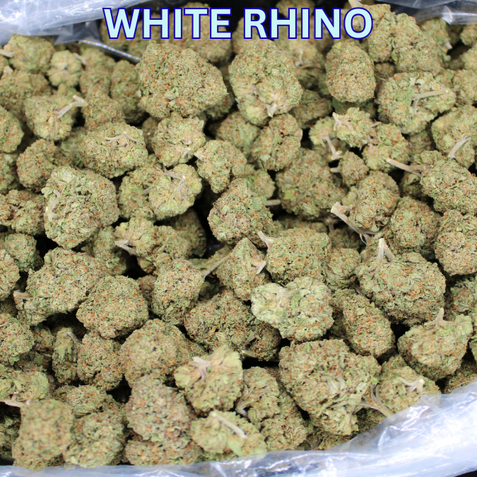 White Rhino THCA Flower