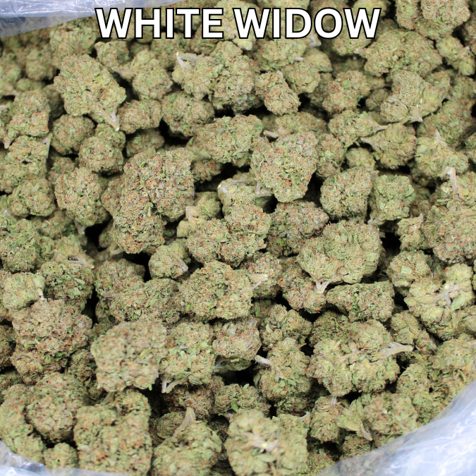 White Widow THCA Flower