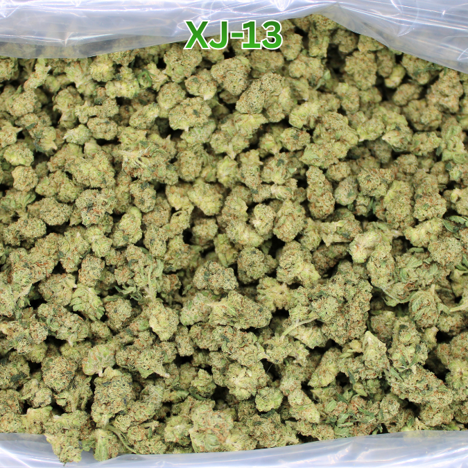 XJ-13 Exotic THCA Smalls