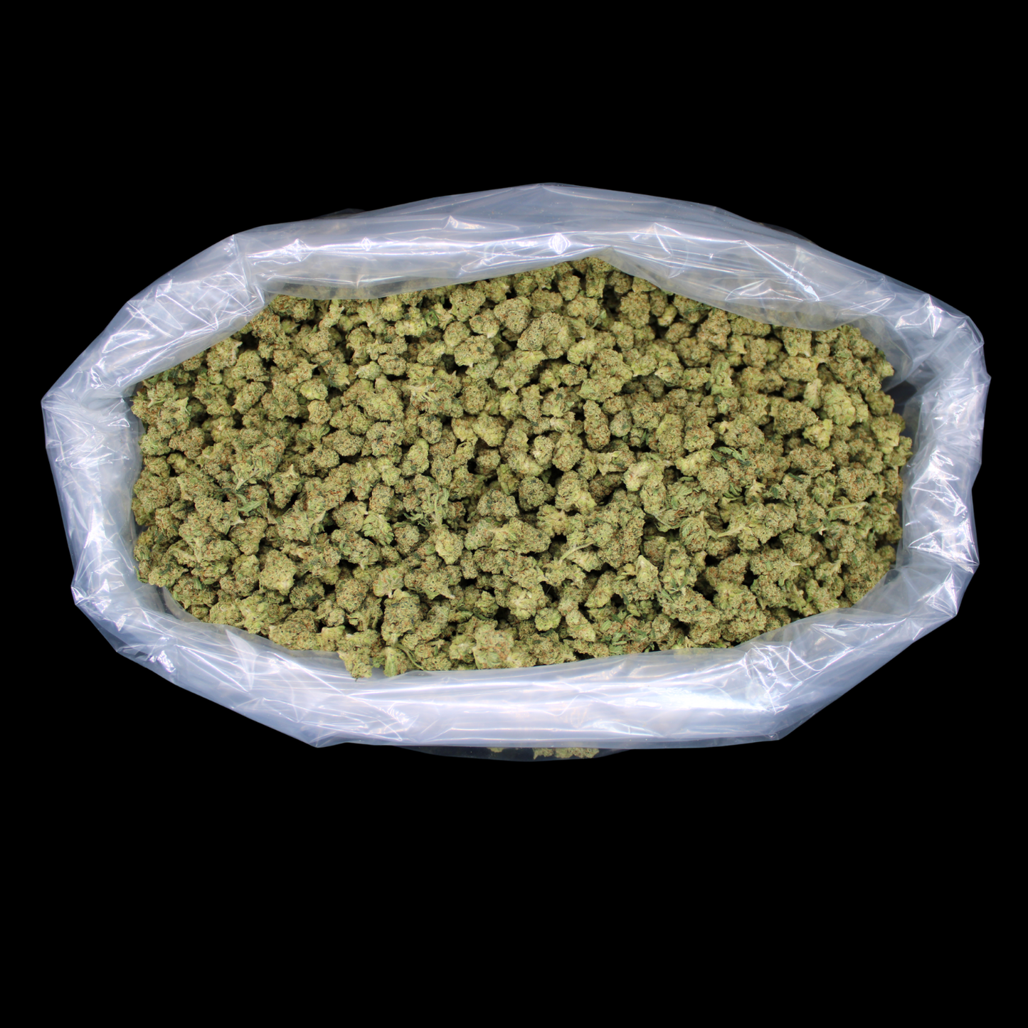 XJ-13 Exotic THCA Smalls