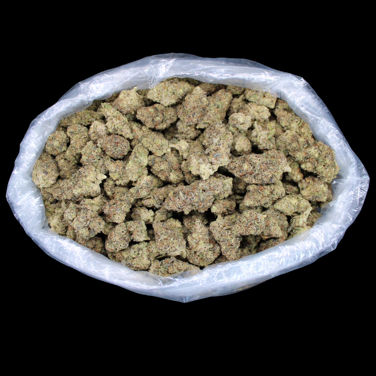 ZAlenciaga Exotic THCA Flower