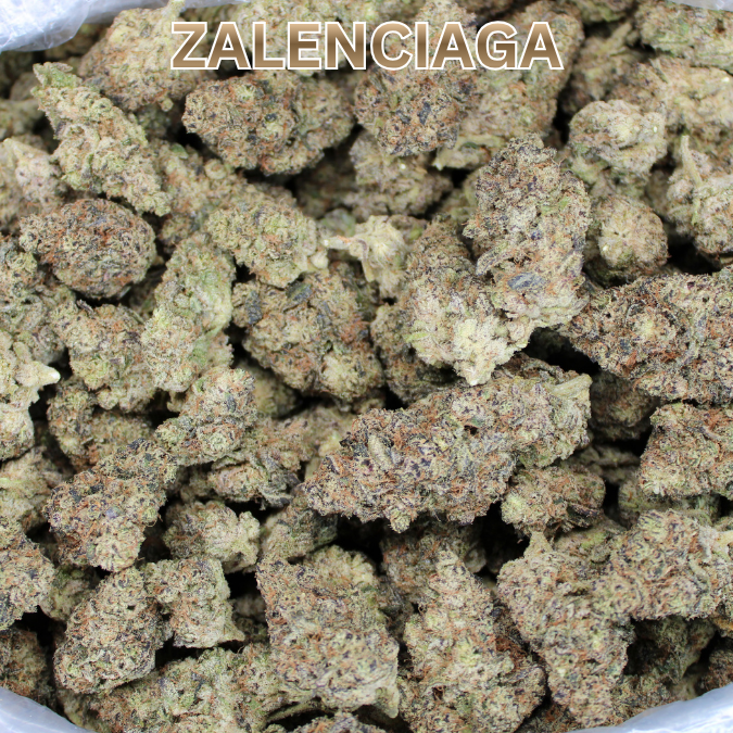 ZAlenciaga Exotic THCA Flower