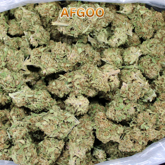 Cheap THCA Flower Ounce