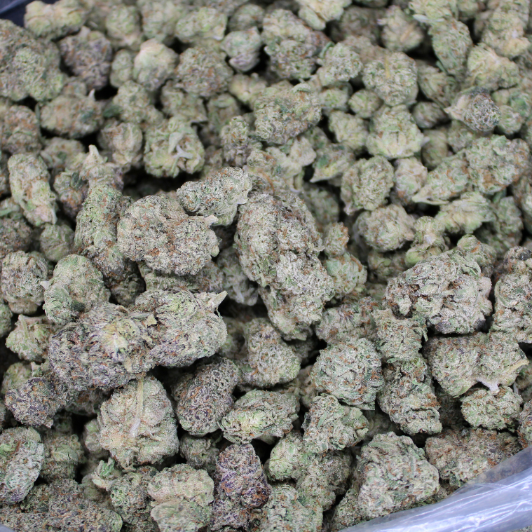 Alaskan Ice Exotic THCA Flower