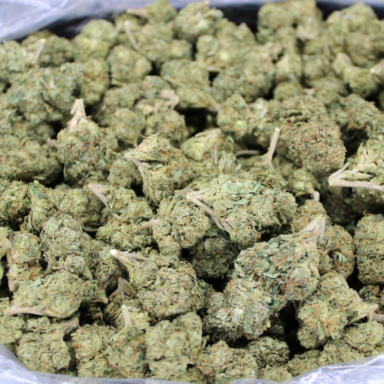 Cheap THCA Flower Pound