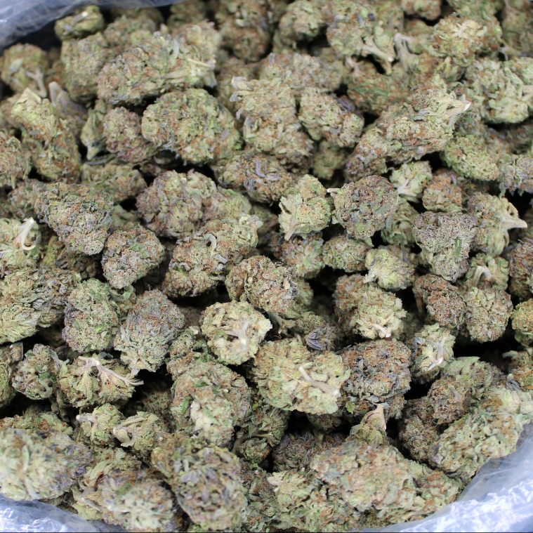 Amnesia Haze THCA Flower