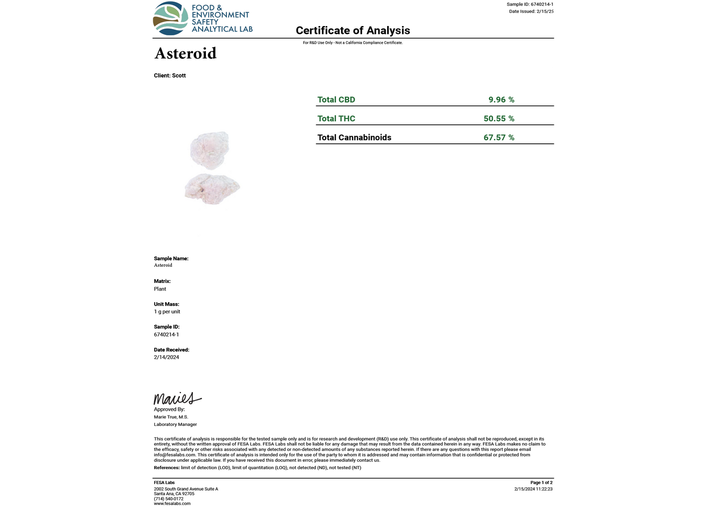 THCA Asteroids