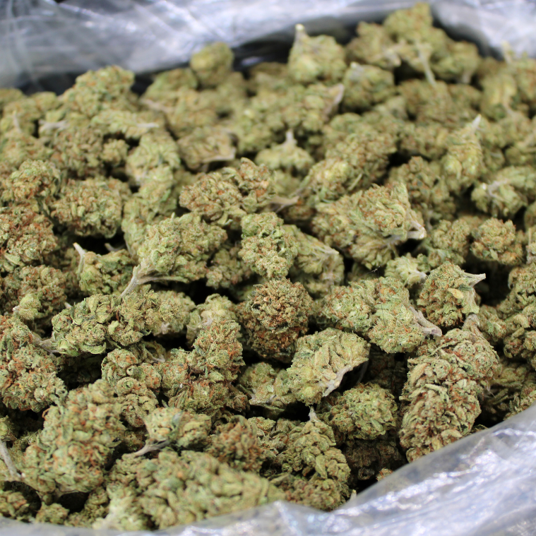 Cheap THCA Flower Pound