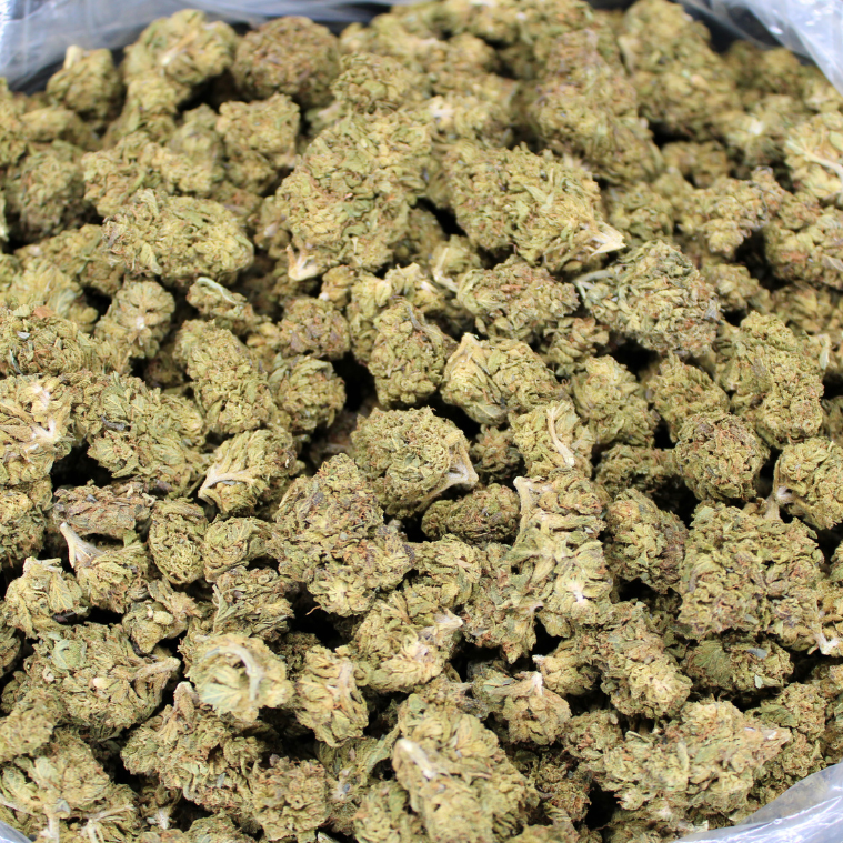 Cheap THCA Flower Pound