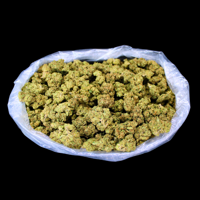 Bellini THCA Flower