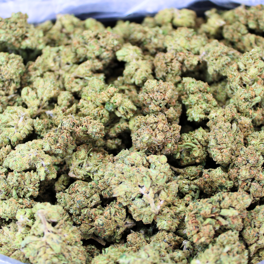 Bellini THCA Flower