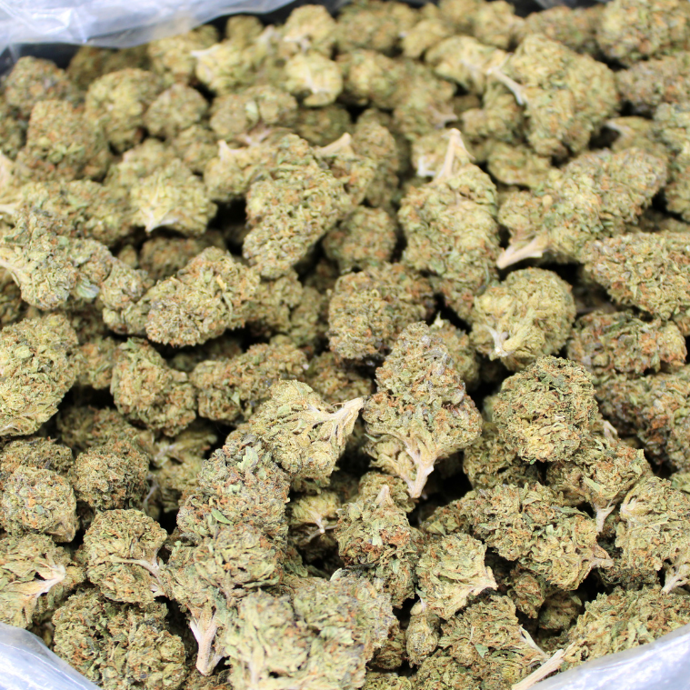 Cheap THCA Flower Pound