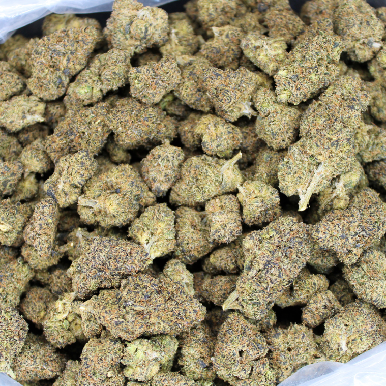 Black Truffle Indoor THCA Flower