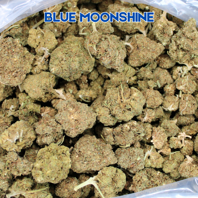 THCA Flower Budget Buds