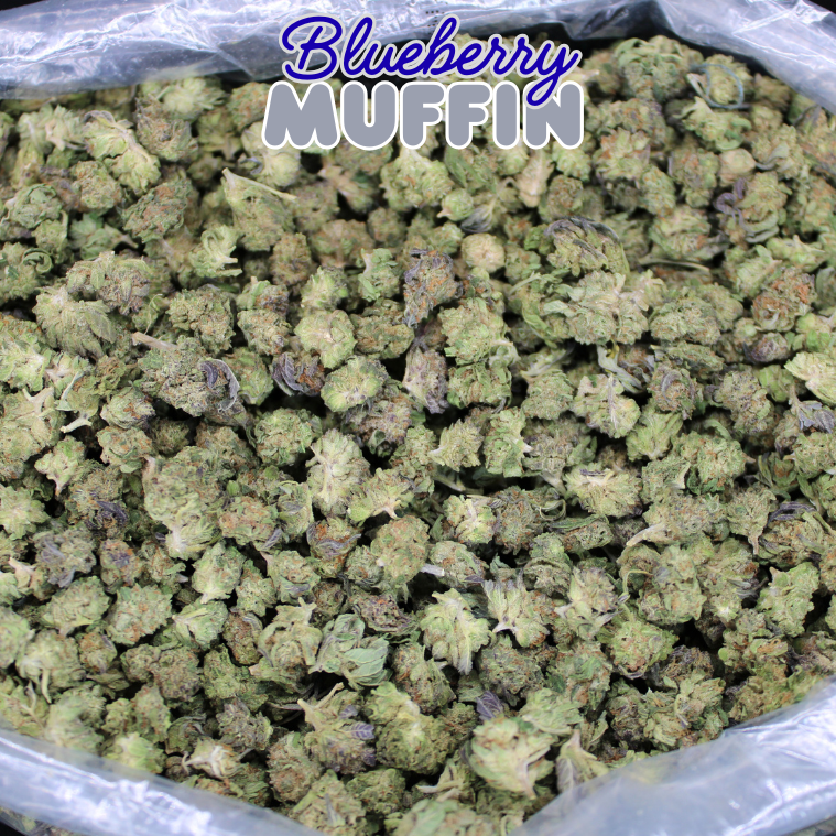 Cheap THCA Smalls Quarter Pound