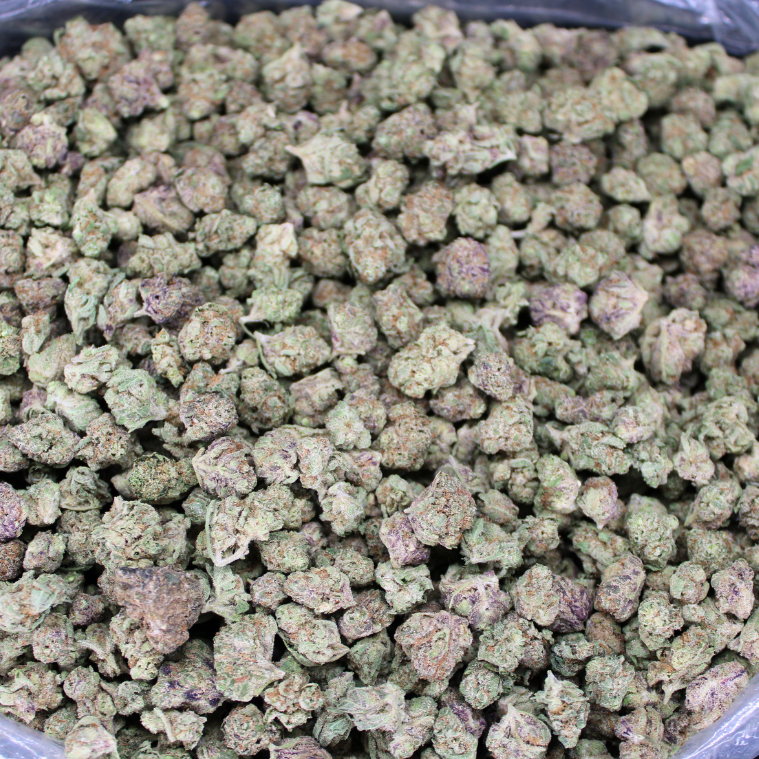Blueberry Pancakes Exotic THCA Flower