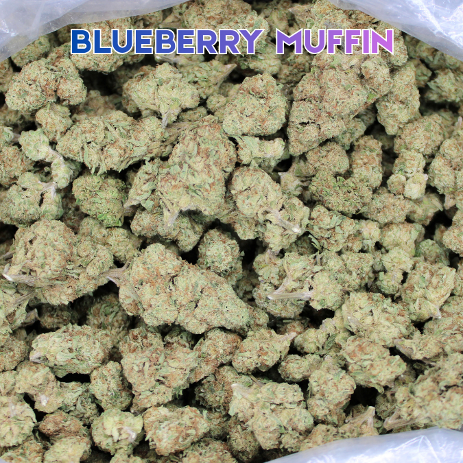 Blueberry Muffin THCA Flower
