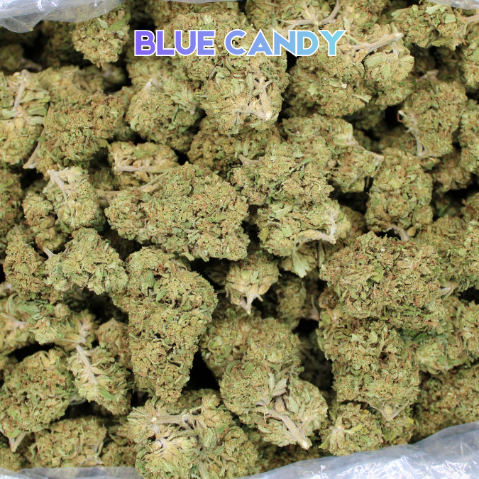 Blue Candy THCA Flower