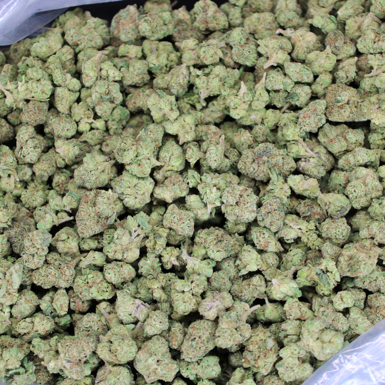 Bulk Indoor THCA Smalls
