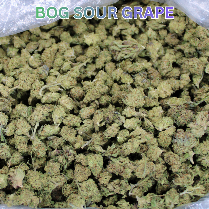 Cheap THCA Smalls Quarter Pound