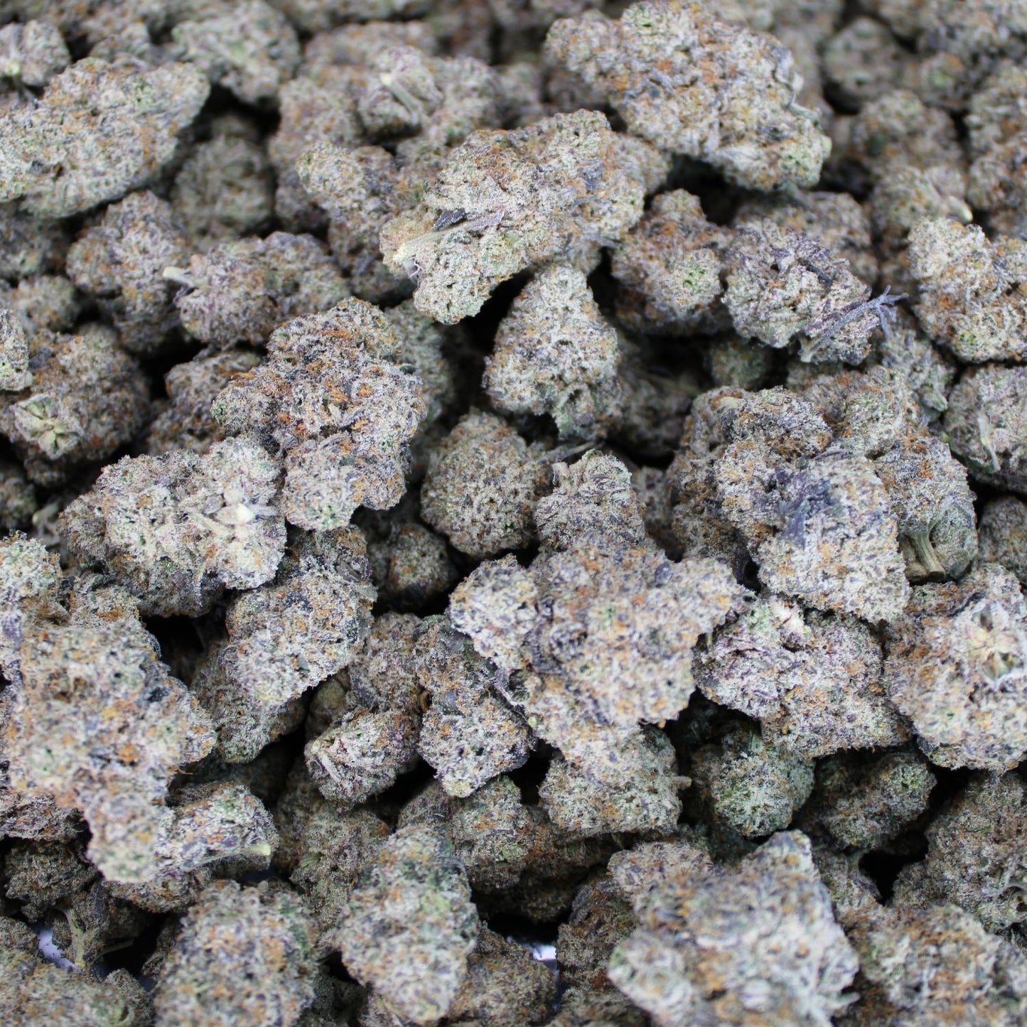 Dank Truffle Exotic THCA Flower