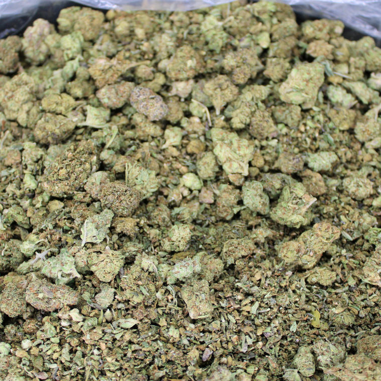 Cake Batter THCA Trim