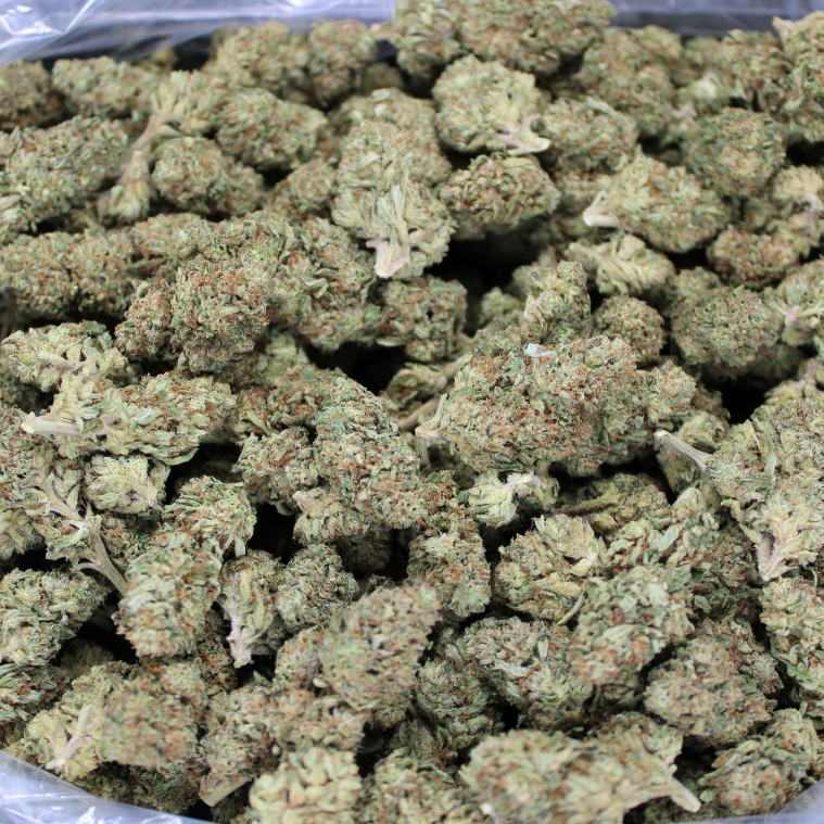 Cheap THCA Flower Pound