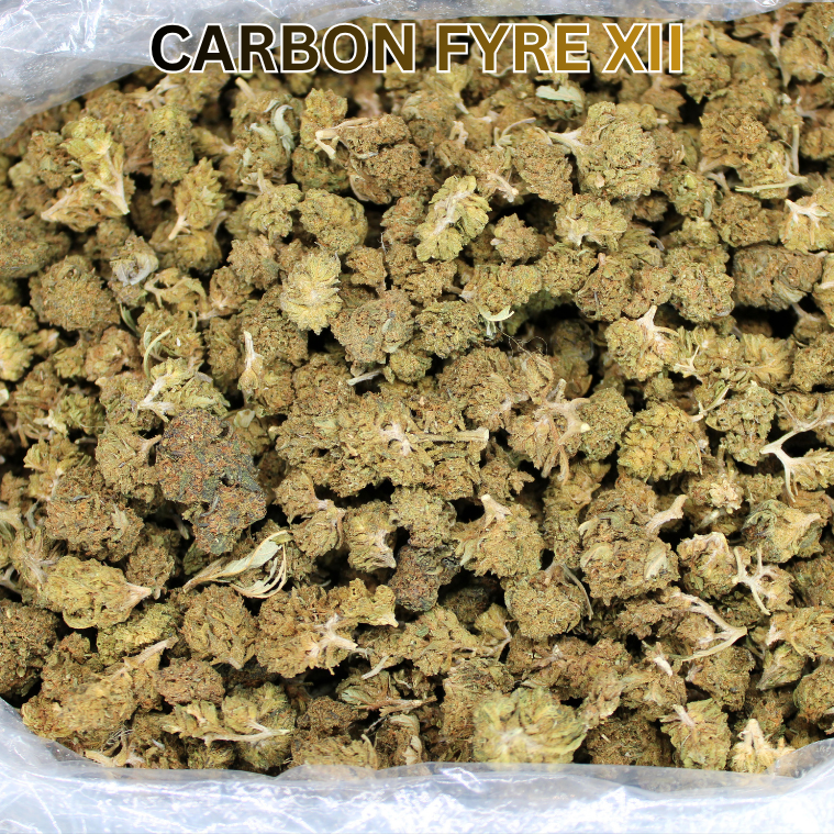 THCA Flower Budget Buds