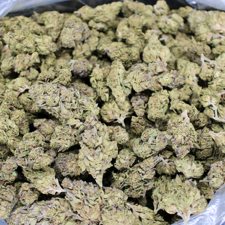 Cheap THCA Flower Pound