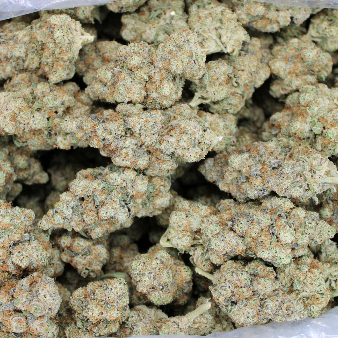 China White Exotic THCA Flower