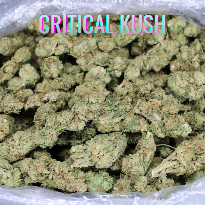 Bulk THCA Flower Pounds