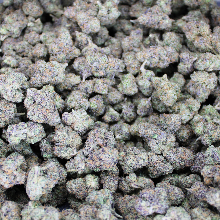 Dank Dynasty Exotic THCA Flower