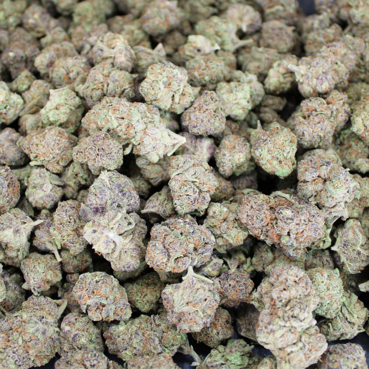 Dank Pancakes Indoor THCA Flower