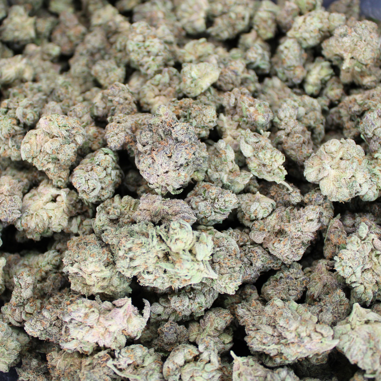 Dank Pie Indoor THCA Flower