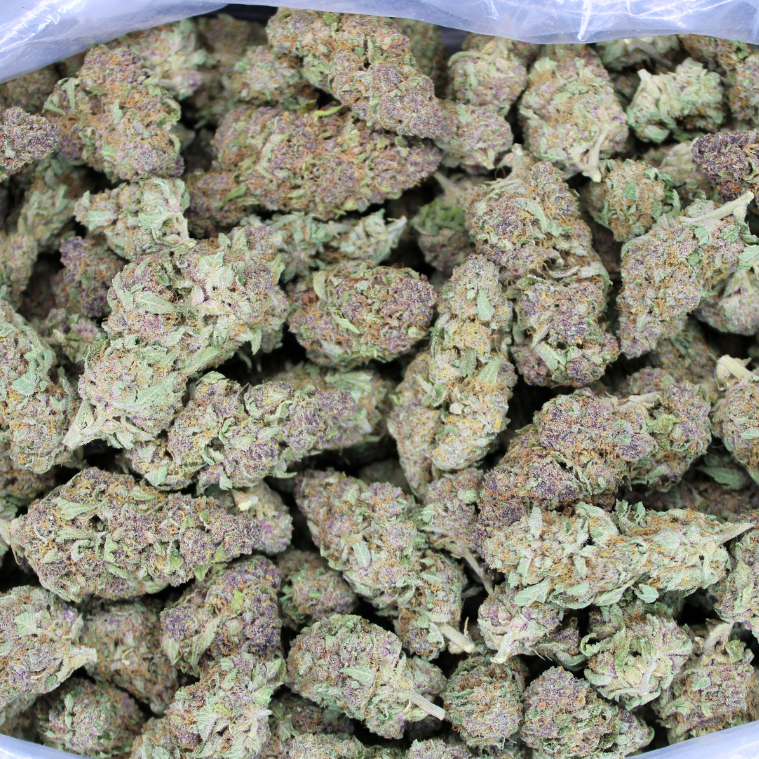 Dank Push Pop THCA Flower