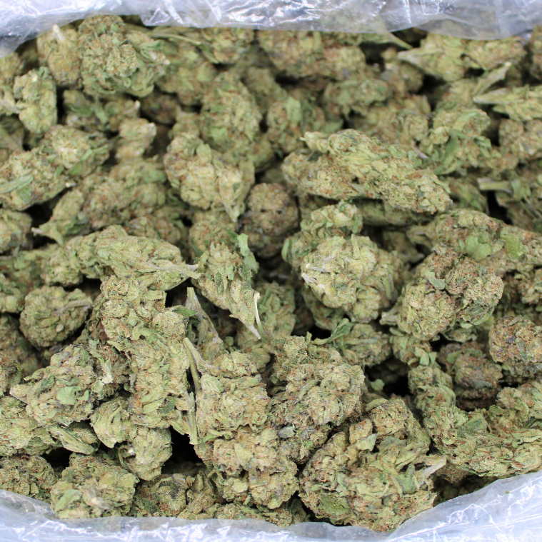 Dank & Sticky THCA Flower