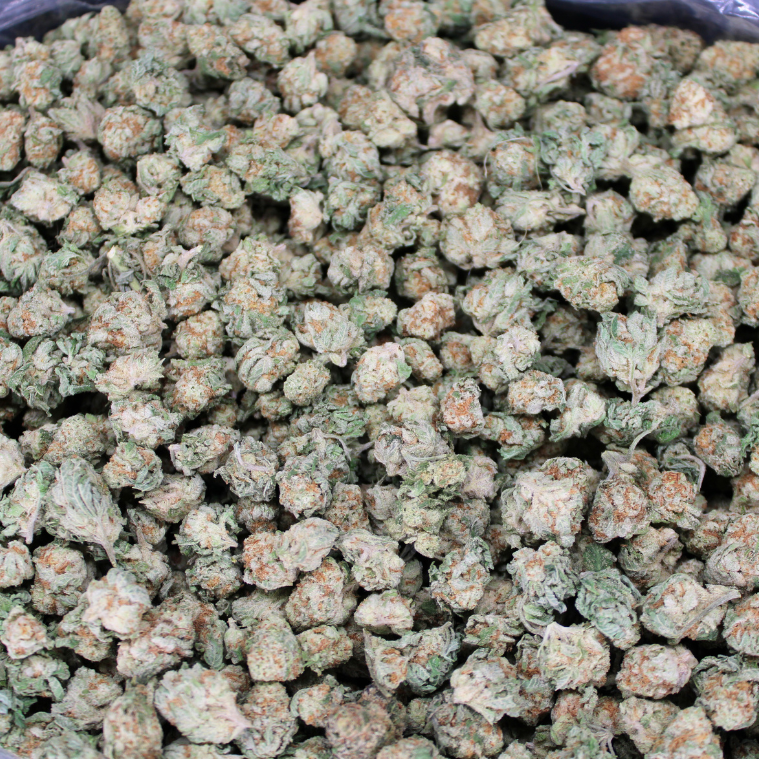 Dank Punch THCA Flower
