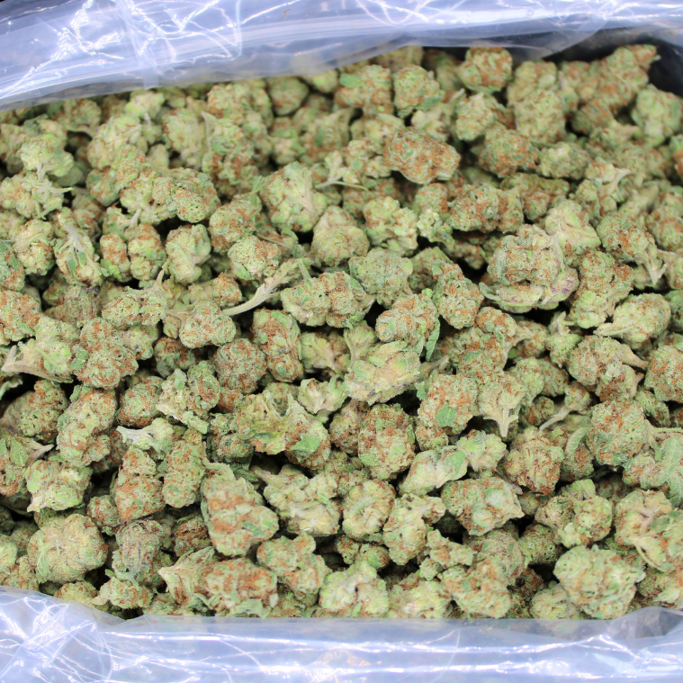 Bulk Indoor THCA Smalls