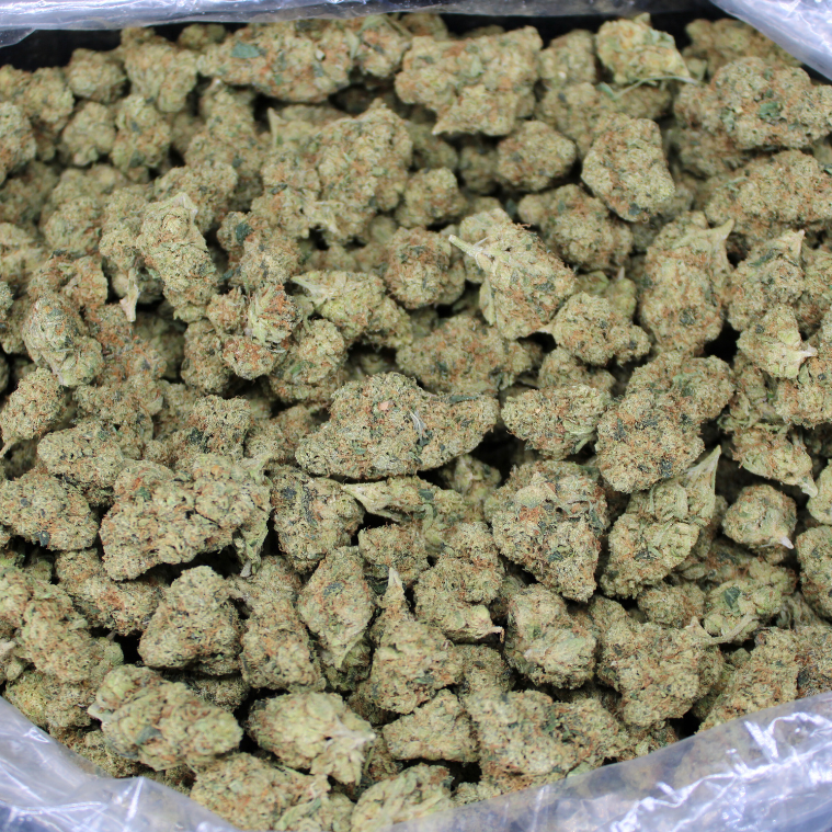 Cheap Indoor THCA Flower Ounce