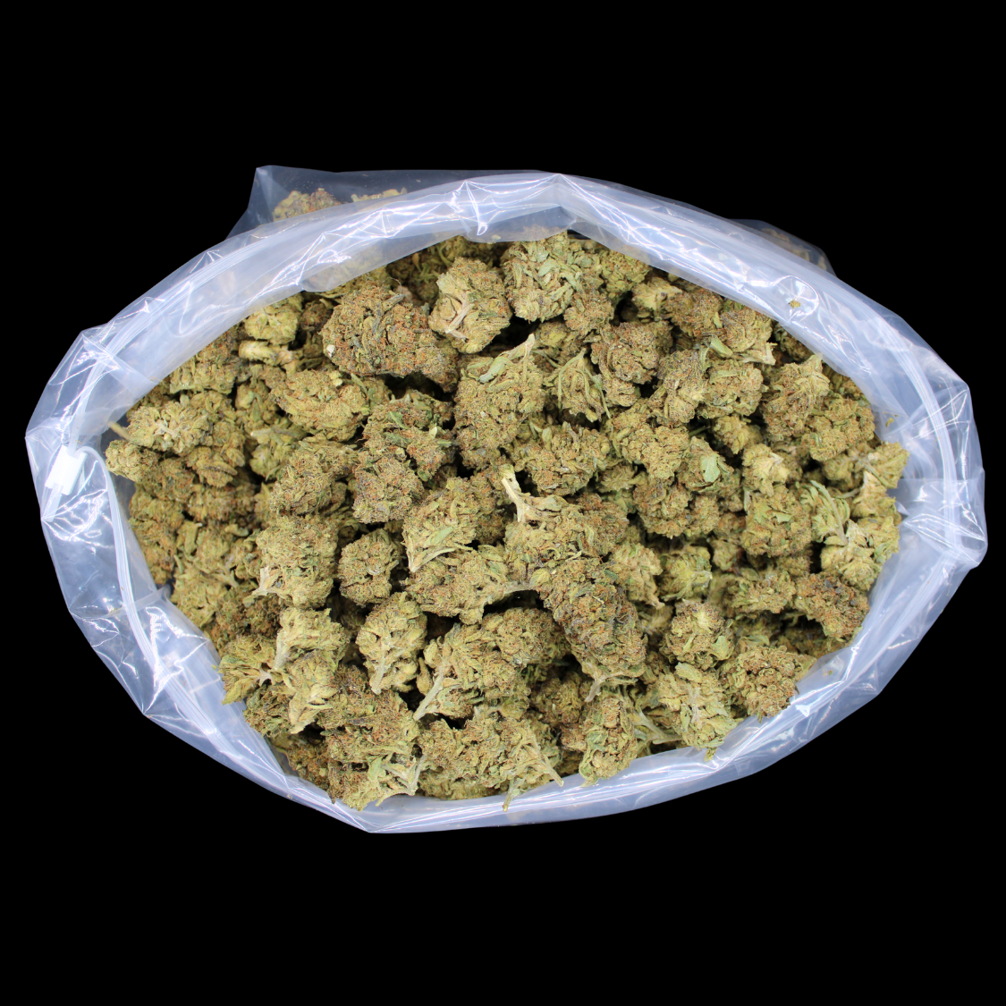 Cheap THCA Flower Quarter Pound