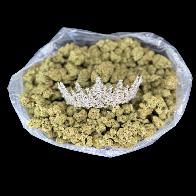 THCA Queen