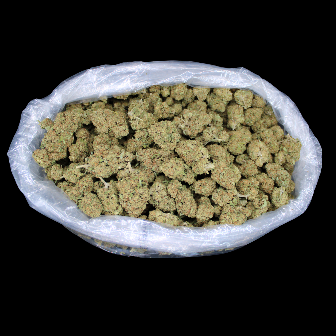 Cheap THCA Flower Pound