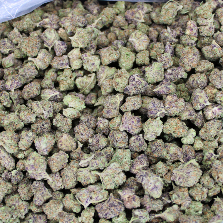 Frosted Donuts Exotic THCA Flower