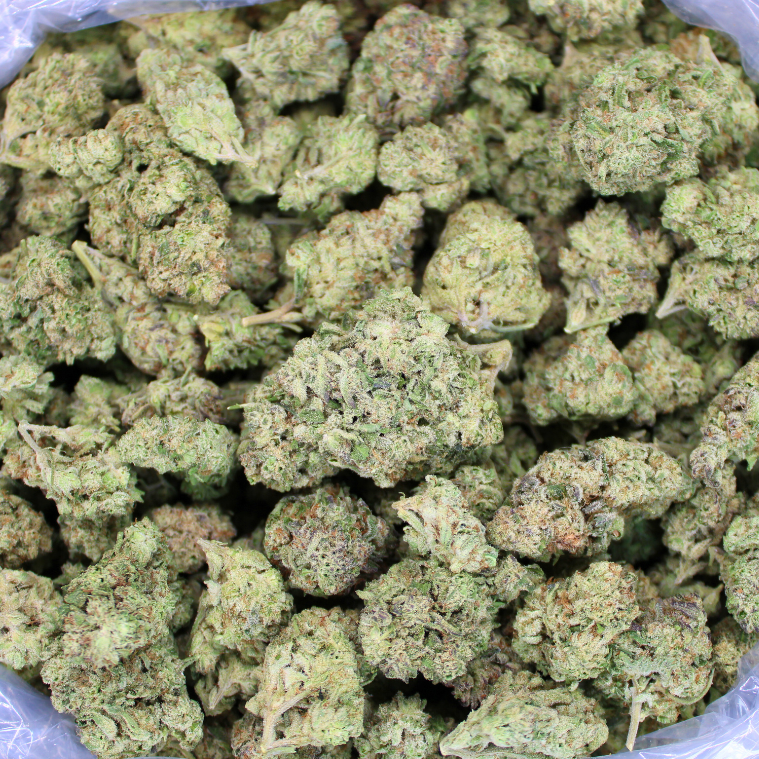 Frosty OG THCA Flower