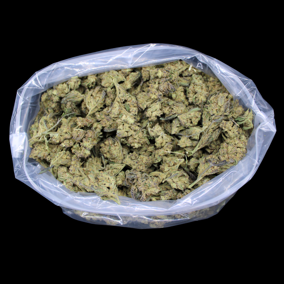 Bulk THCA Flower Pounds